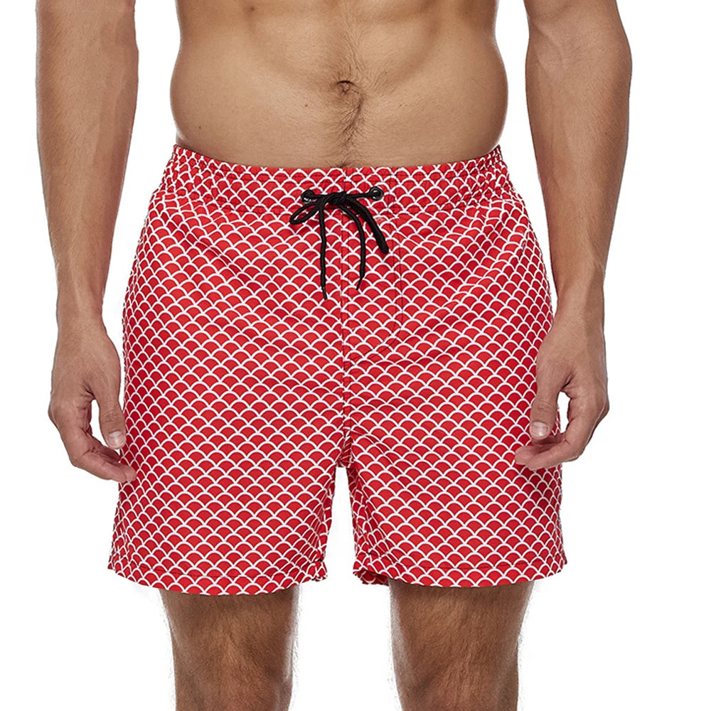 Pacific Line Shorts